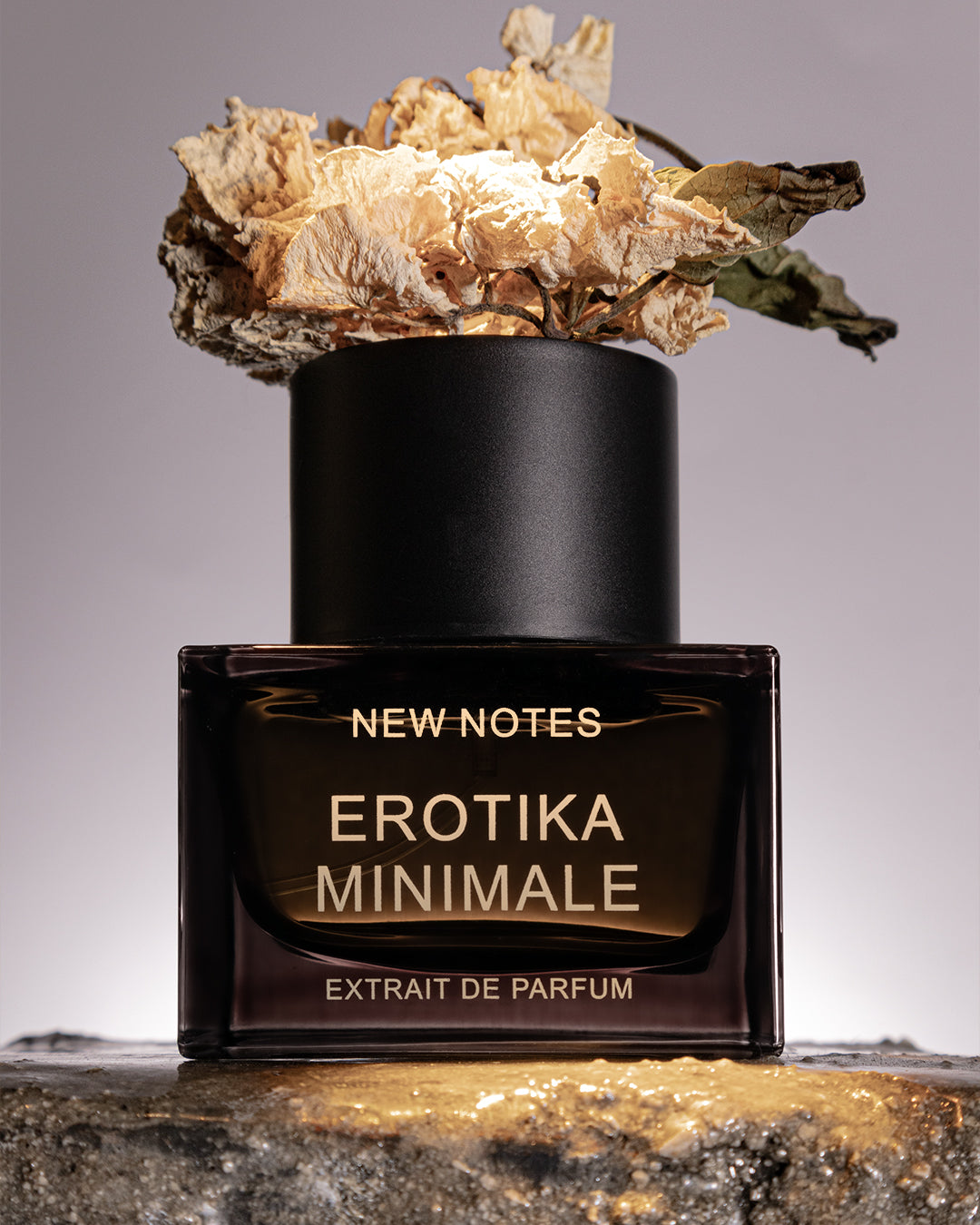 NEW NOTES - EROTIKA MINIMALE