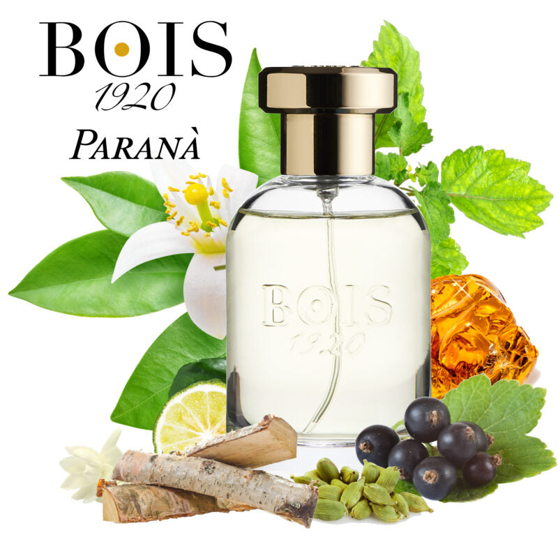 BOIS 1920 - PARANÁ